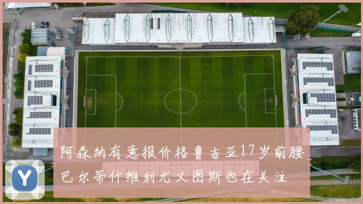 阿森纳有意报价格鲁吉亚17岁前腰巴尔蒂什维利尤文图斯也在关注
