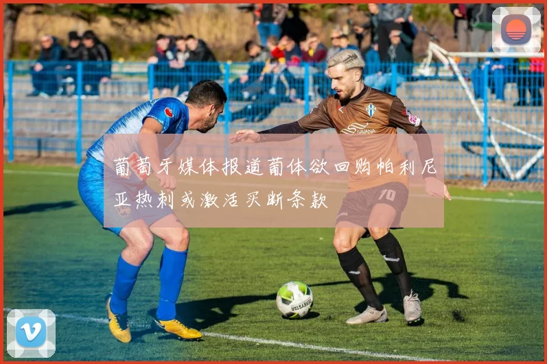 葡萄牙媒体报道葡体欲回购帕利尼亚热刺或激活买断条款
